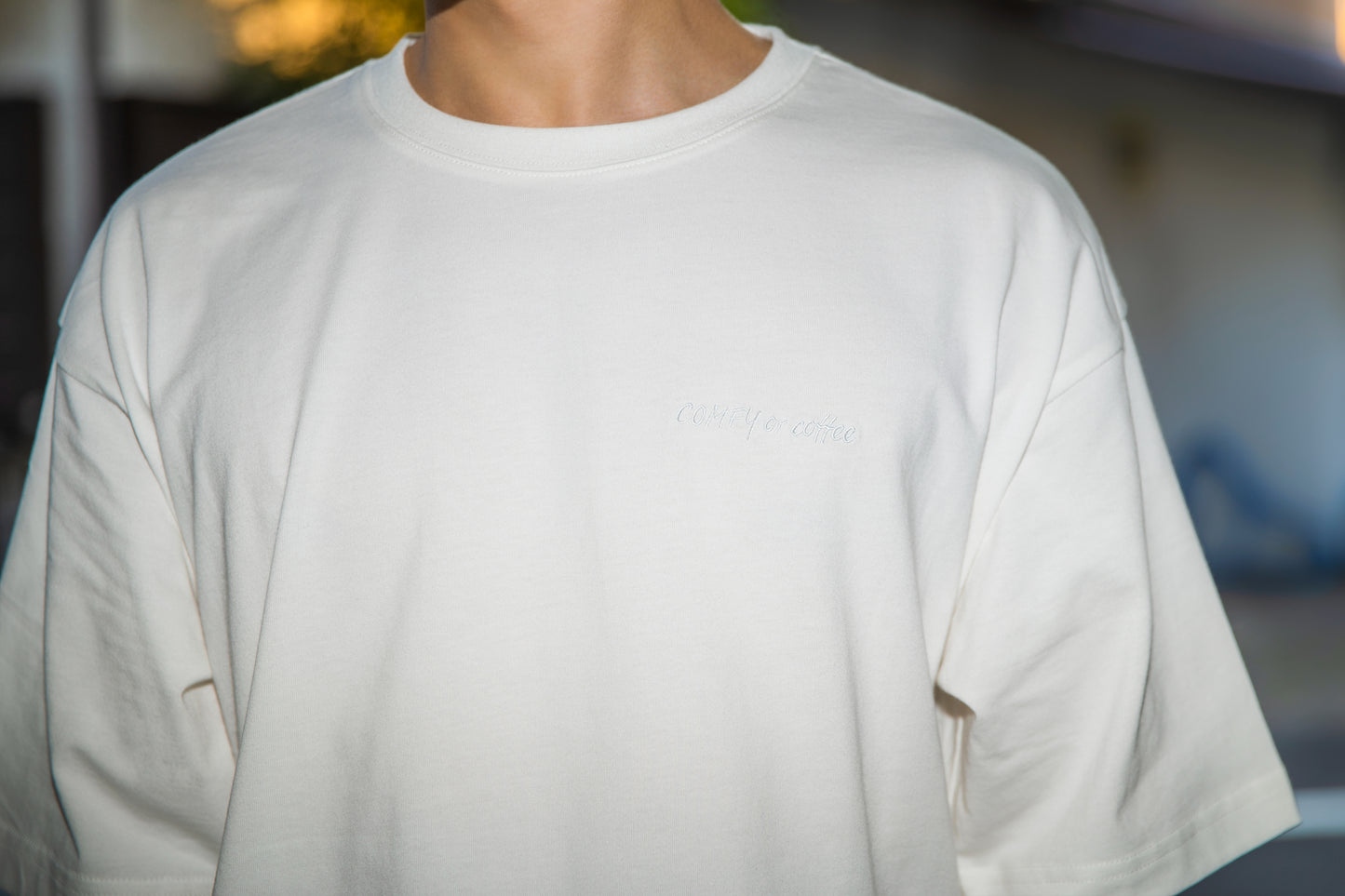 Assorted T-Shirt (white)